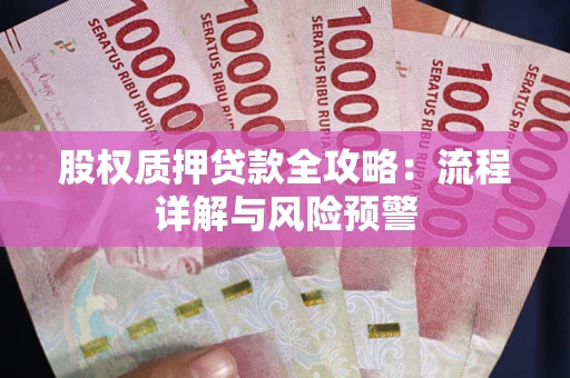 北京股权质押贷款全攻略：流程详解与风险预警