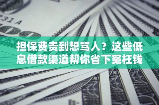 北京担保费贵到想骂人？这些低息借款渠道帮你省下冤枉钱