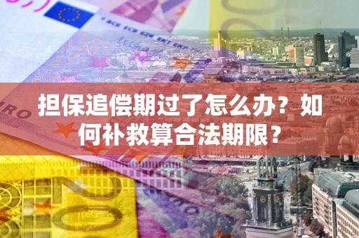 北京担保追偿期过了怎么办？如何补救算合法期限？