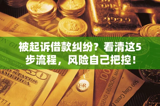 北京被起诉借款纠纷？看清这5步流程，风险自己把控！